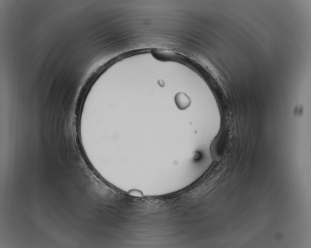 X0000096731072200803041218