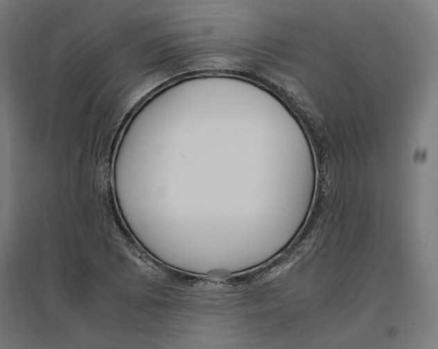 X0000096731073200803041218