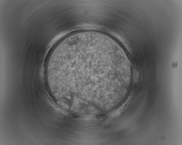 X0000096731074200803041218