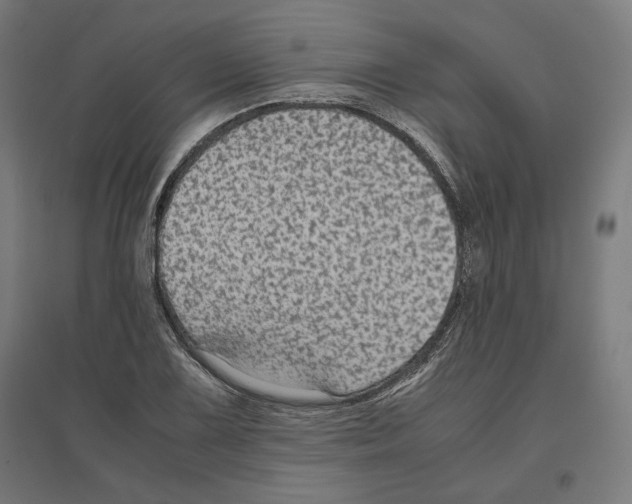 X0000096731075200803041218