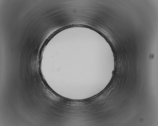 X0000096731076200803041218