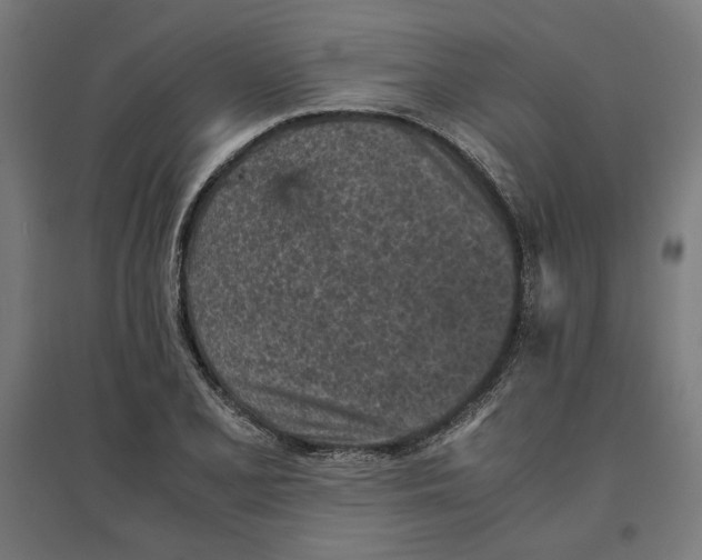 X0000096731077200803041218