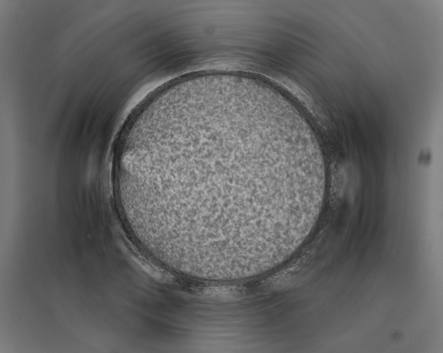 X0000096731078200803041218
