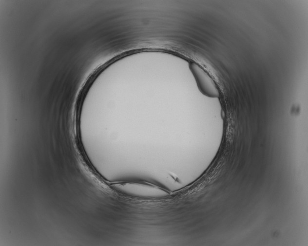 X0000096731080200803041218