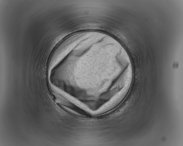 X0000096731081200803041218