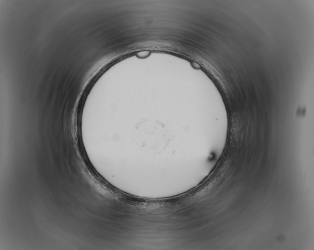 X0000096731082200803041218