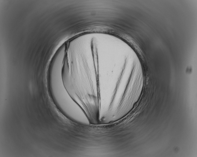 X0000096731083200803041218