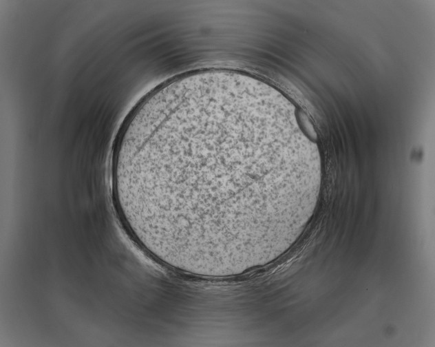 X0000096731084200803041218