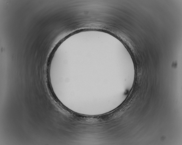 X0000096731085200803041218