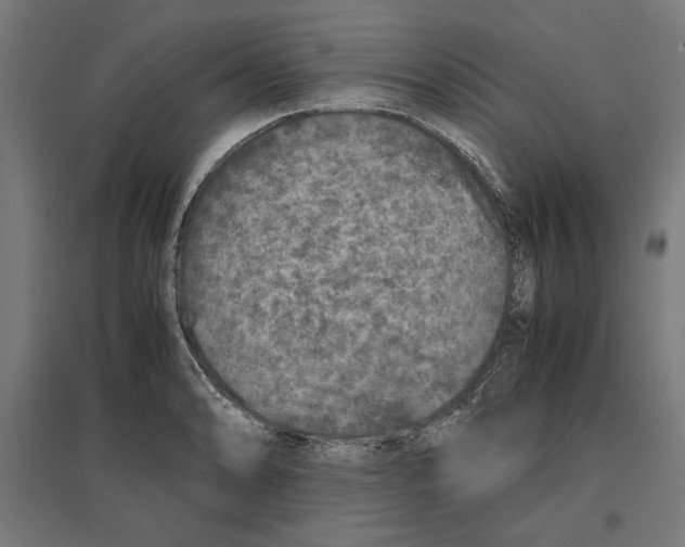 X0000096731086200803041218