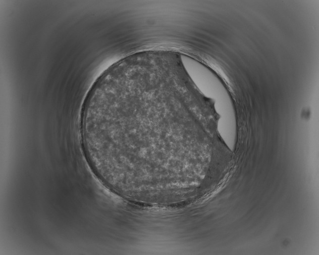 X0000096731087200803041218