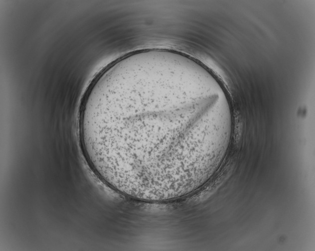 X0000096731088200803041218