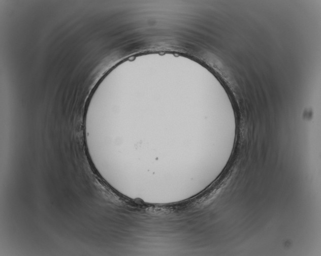 X0000096731089200803041217