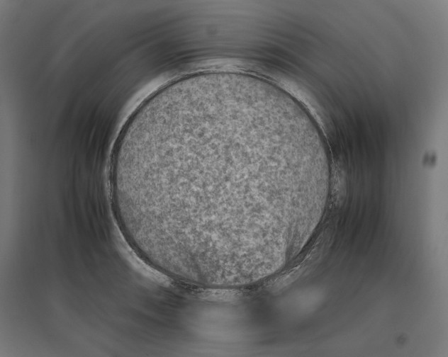 X0000096731090200803041217