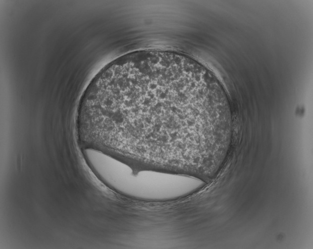 X0000096731091200803041217