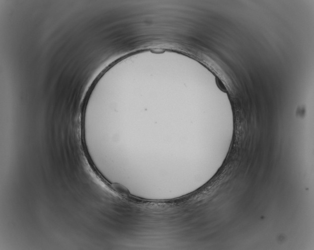 X0000096731092200803041217