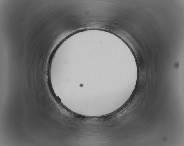 X0000096731093200803041217
