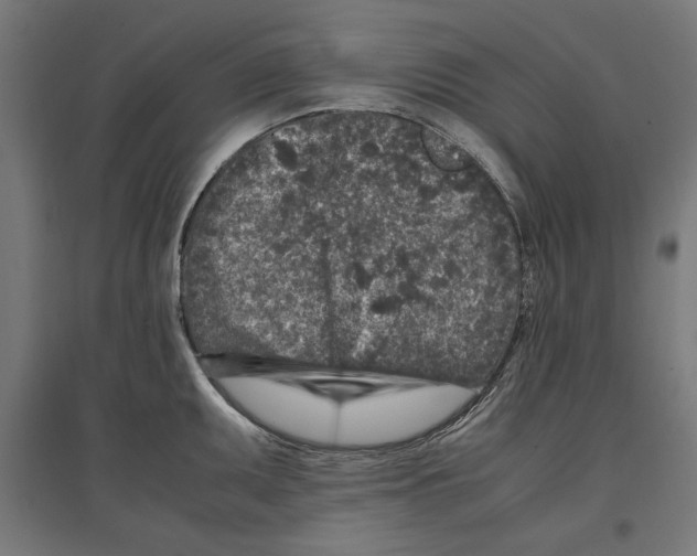 X0000096731095200803041217