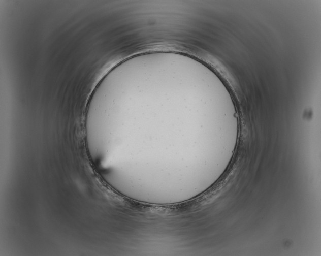 X0000096731097200803041217