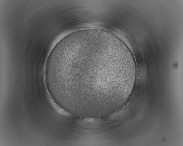 X0000096731098200803041217