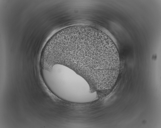 X0000096731099200803041217