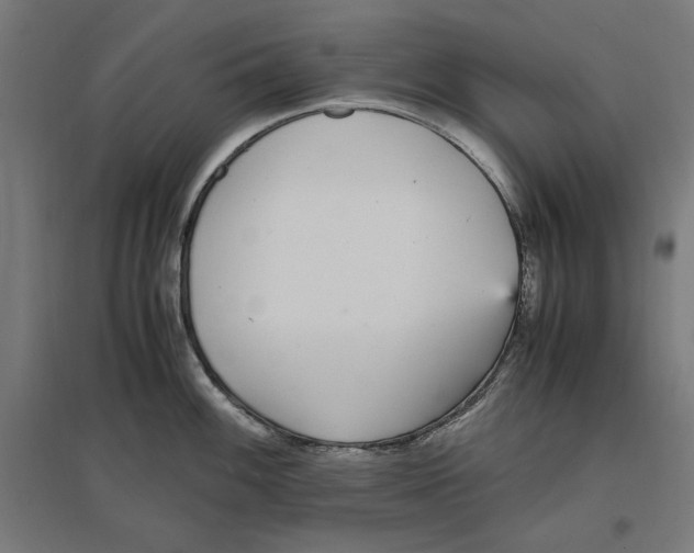X0000096731100200803041217