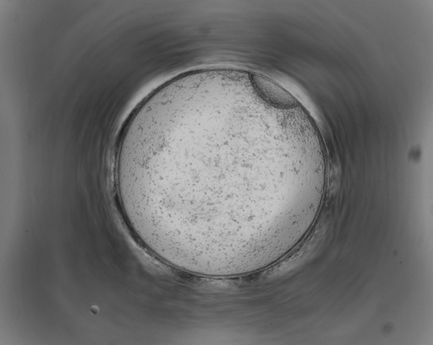 X0000096731101200803041217