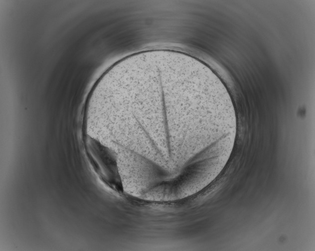 X0000096731102200803041217