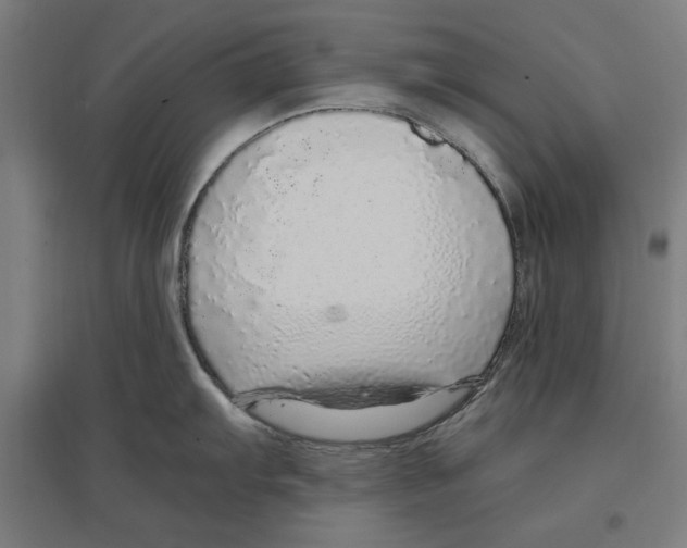 X0000096731103200803041217