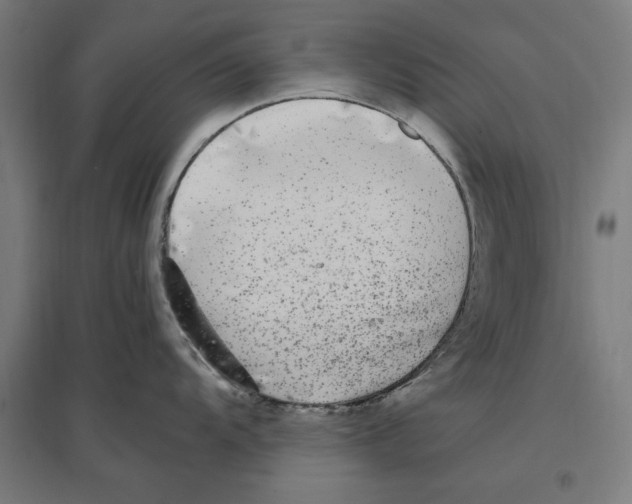 X0000096731104200803041217