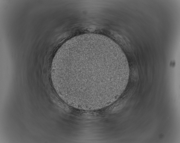 X0000096731105200803041217