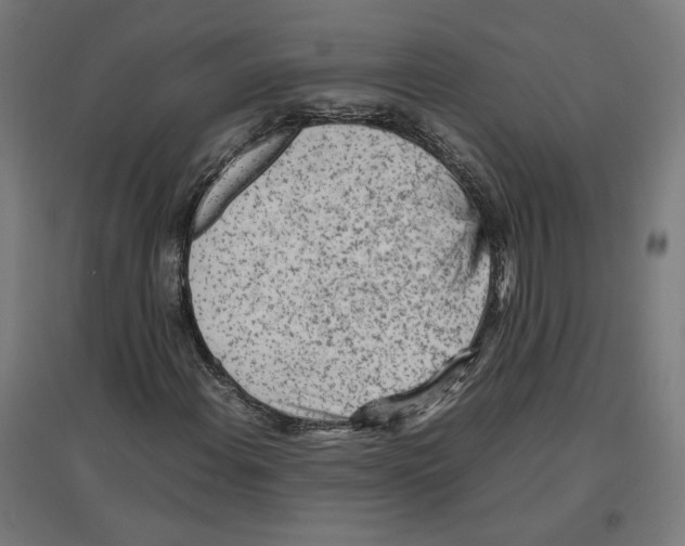 X0000096731108200803041217