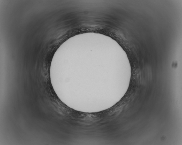 X0000096731109200803041217