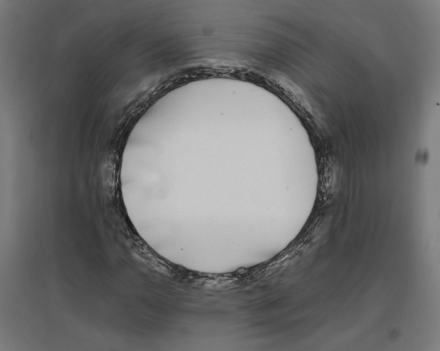 X0000096731110200803041217