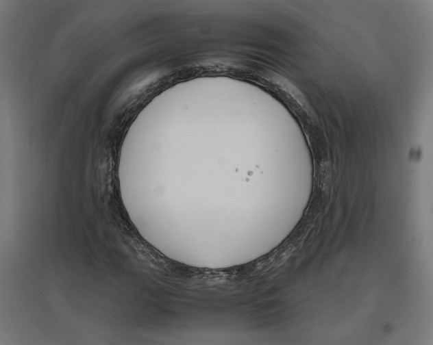 X0000096731111200803041217