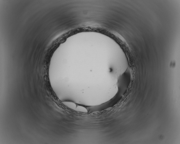 X0000096731112200803041217