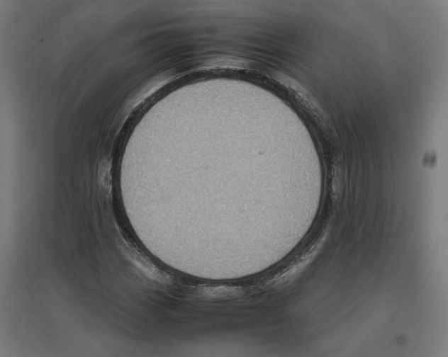 X0000096731113200803041217