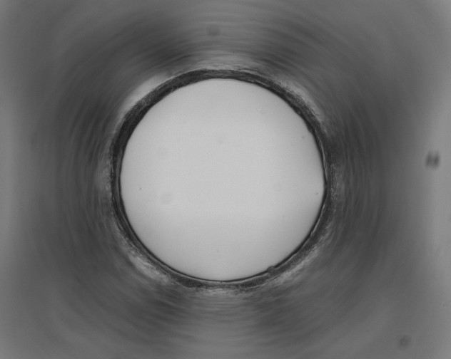 X0000096731114200803041217