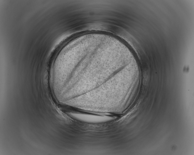 X0000096731115200803041217