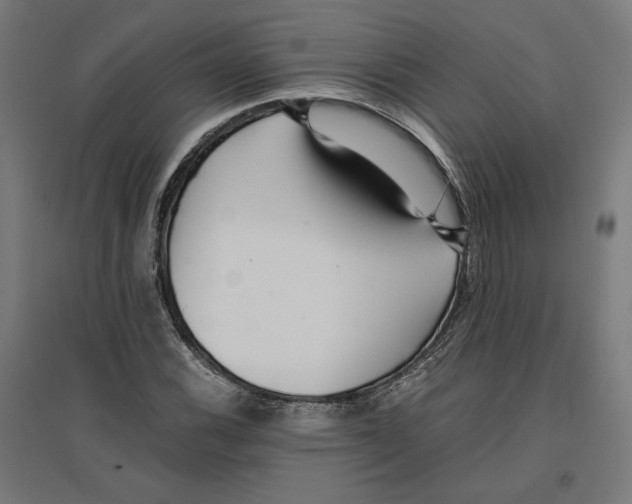 X0000096731116200803041217