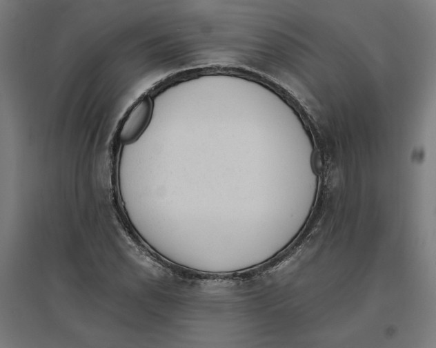 X0000096731118200803041217