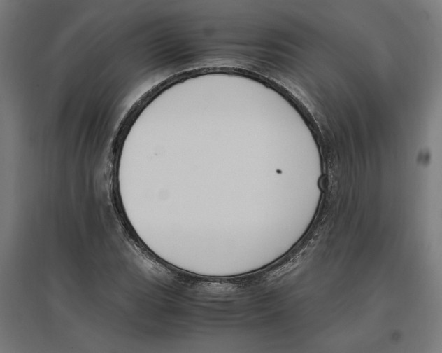 X0000096731119200803041217