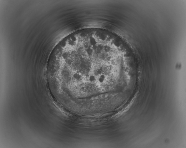 X0000096731121200803041217