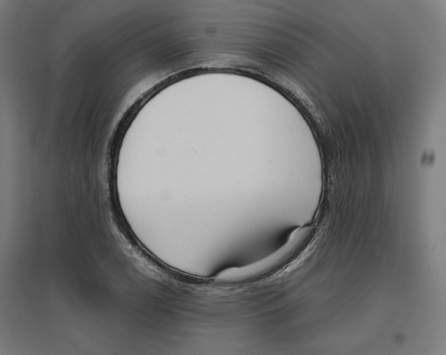 X0000096731122200803041217