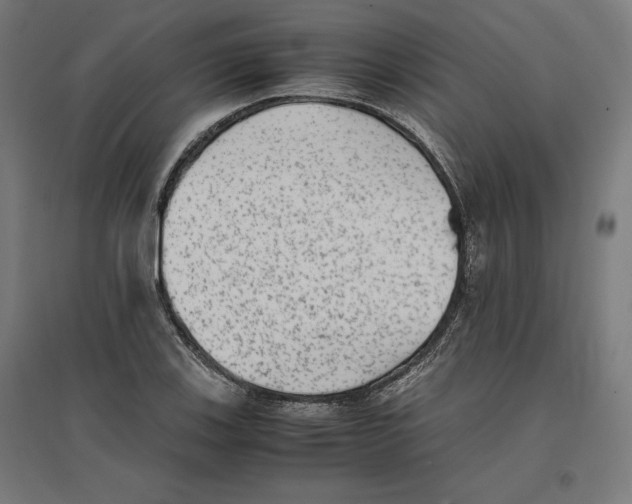 X0000096731123200803041217