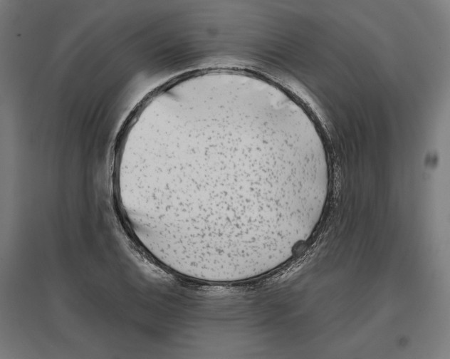 X0000096731124200803041217