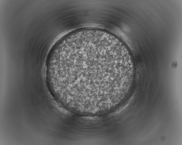 X0000096731125200803041217