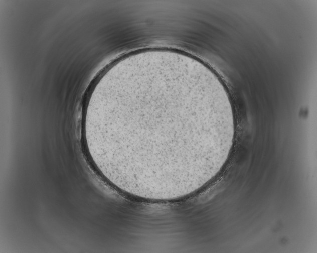 X0000096731126200803041217