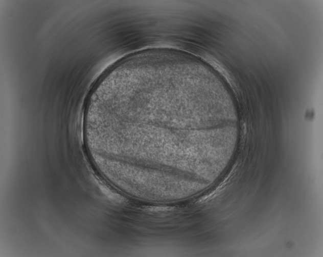 X0000096731127200803041217