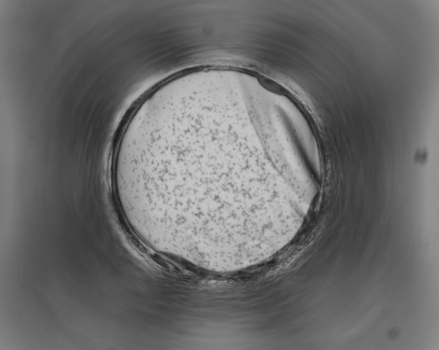 X0000096731128200803041217
